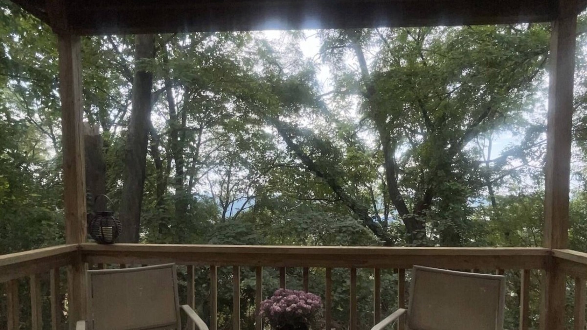 Swissvale Apartment | King Bed + Balcony in Swissvale- Neicy’s Nest-B