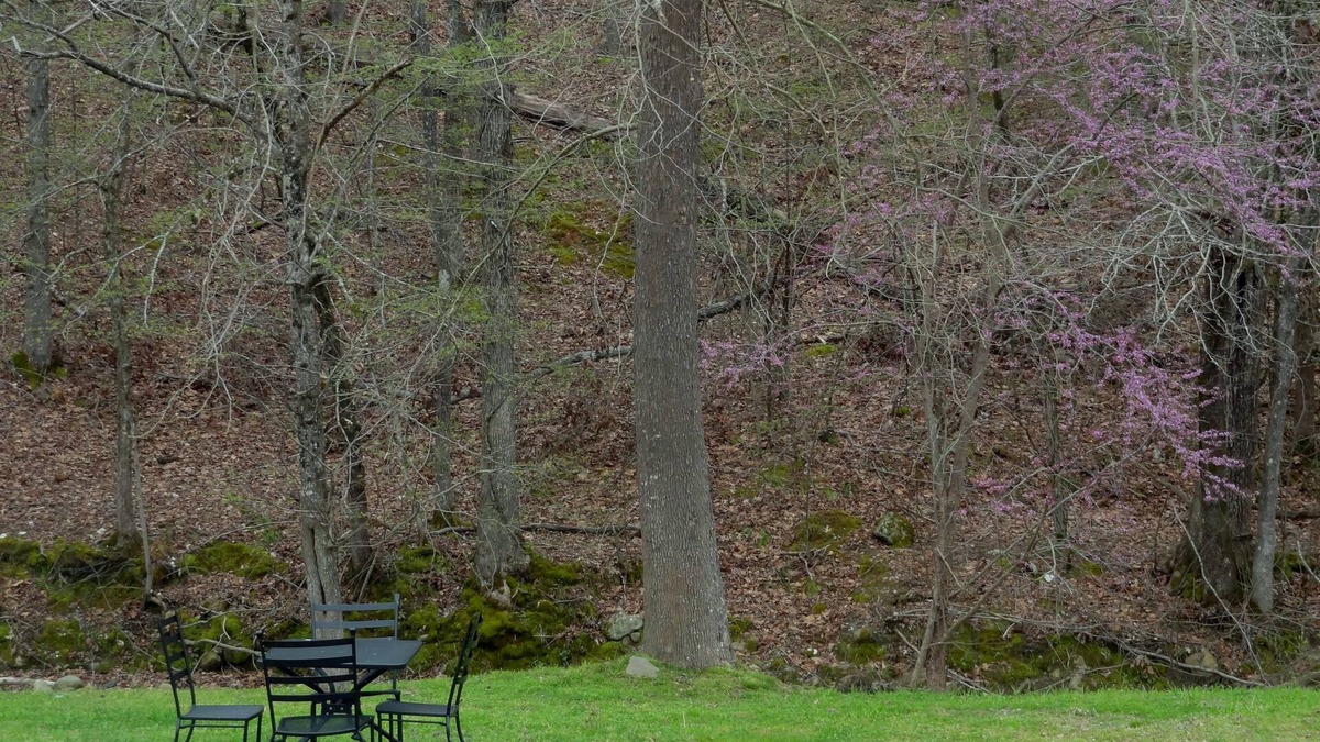 Mount Ida Apartment | King Guest Room located at the Joplin Inn at the entrance to Mountain Harbor, just 2 1/2 miles from Lake Ouachita. by RedAwning