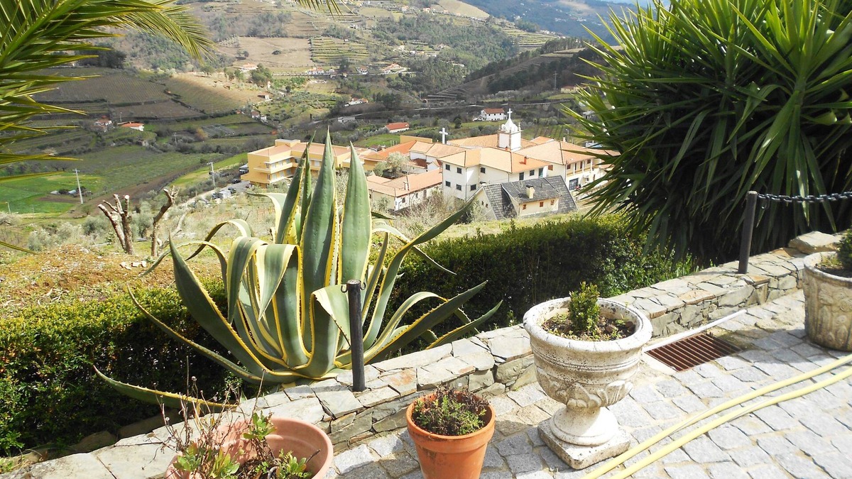Vila Marim House | King's House Douro Vallley