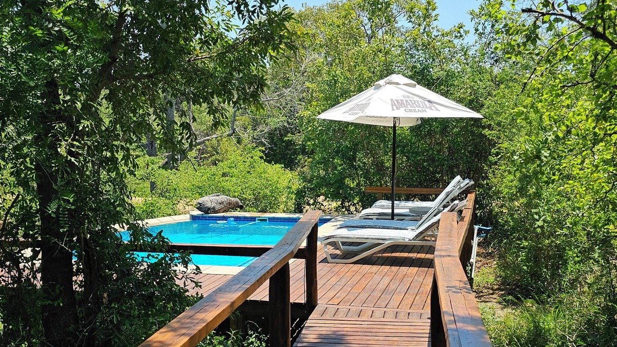 Thorny Bush Game Reserve Other | Kingfisher Creek Safari Lodge
