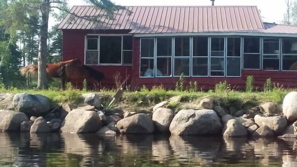 Tupper Lake Cottage | Kings Farmstead