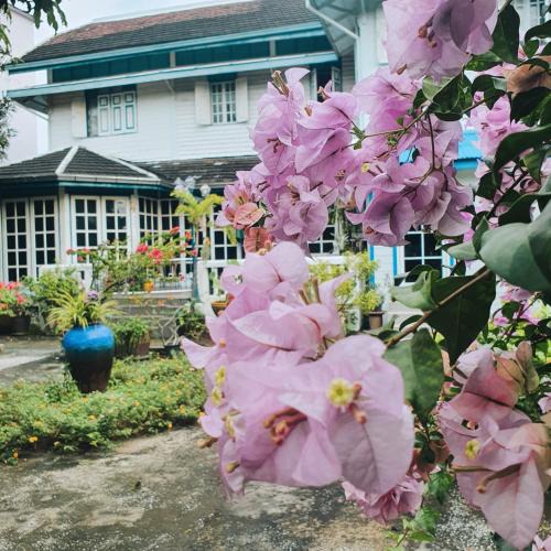 Wat Kanlaya Bed & Breakfast | KINN Stay50 Bangkok