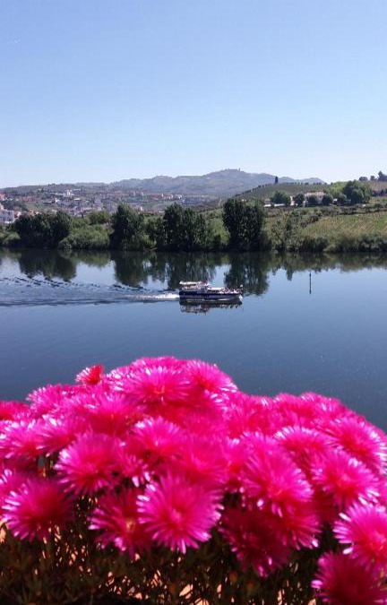 Peso da Regua House | Kintal do Douro