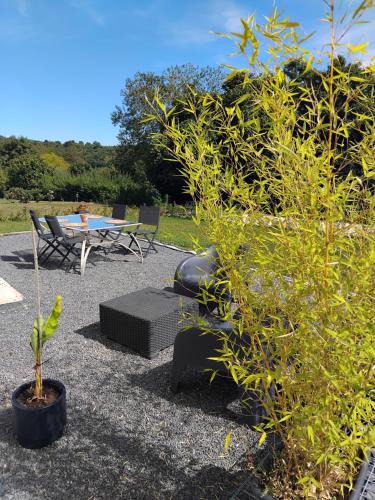 Neufchateau House | Kity house