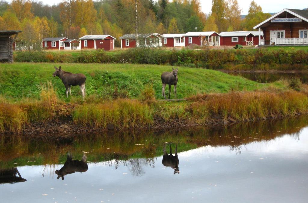 Stollet Other | Klarälvens Camping