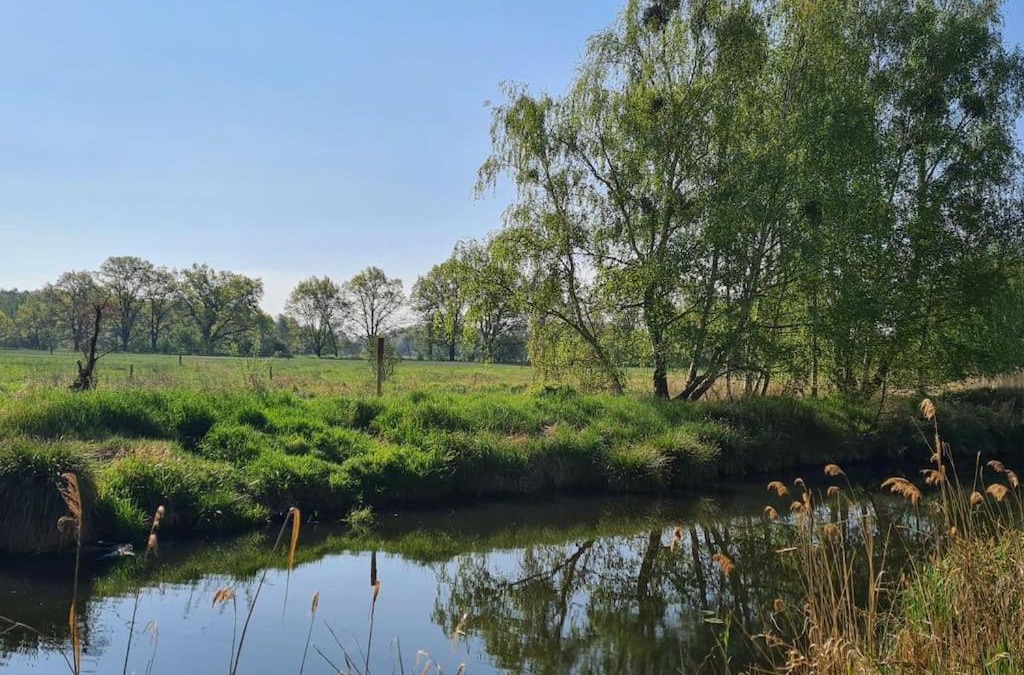 Trebbin Apartment | Kleine Auszeit