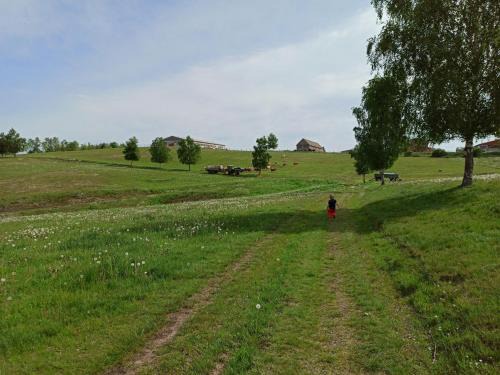 Sudharz Apartment | Kleine Frauenkirche