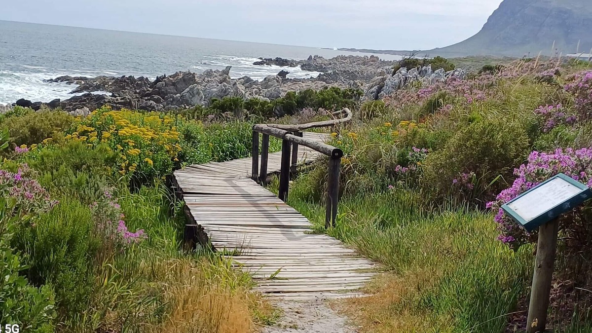 Kleinmond Apartment | Kleinmond Panorama with beautifull views, BBQ, near main beach, lagune and shops