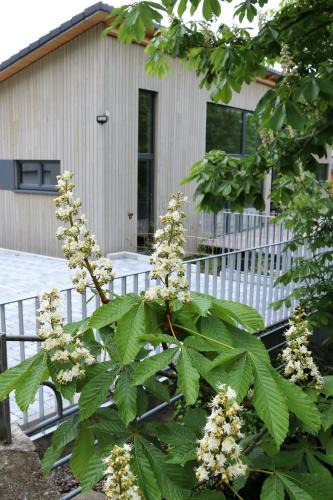 Badenweiler Apartment | Klemmbachidyll