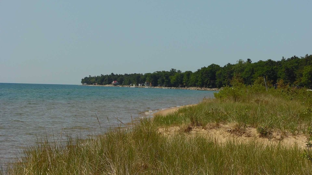East Tawas House | Knotty Pine Cabin short distance to Lake Huron Access! Near Tawas Point