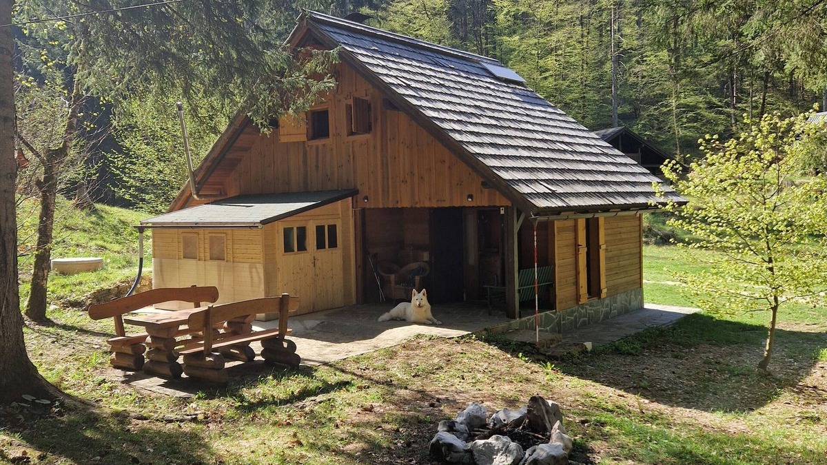 Bled Cabin | Koča v gozdu, Forest house near Bled