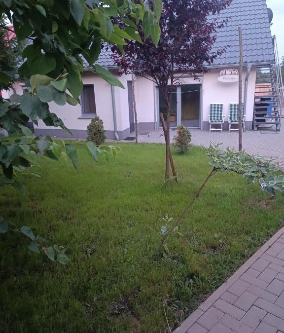Przemet House | Końskie Zacisze parter