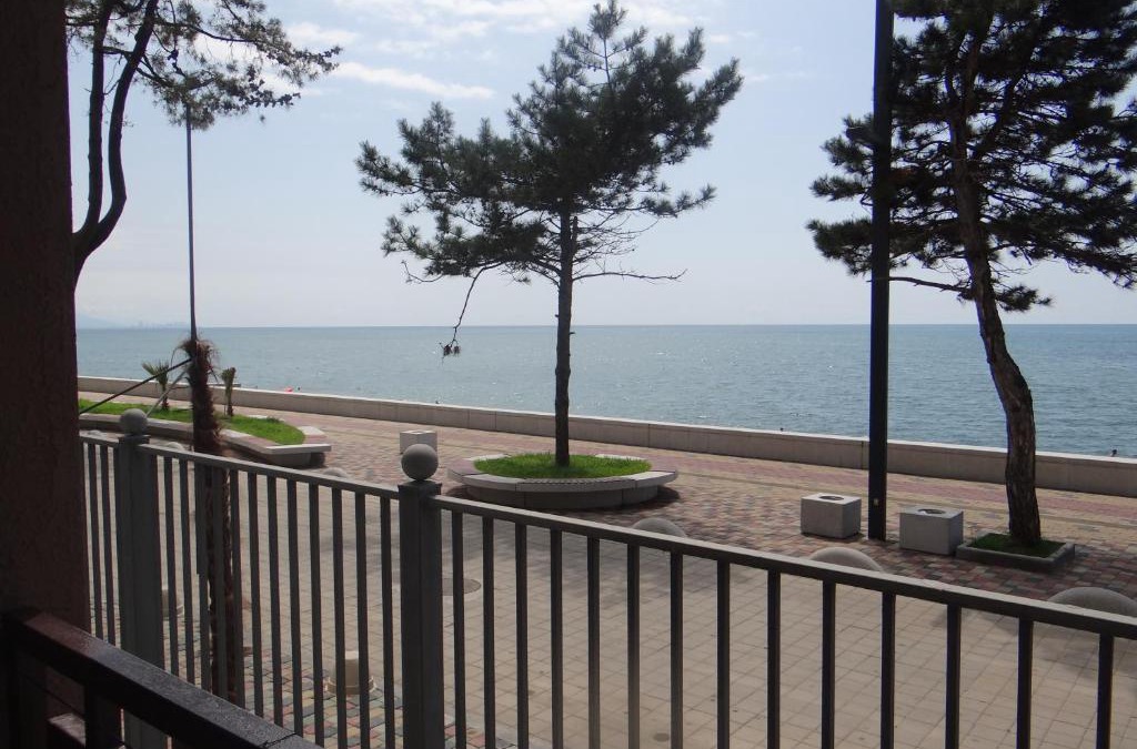 Kobuleti Apartment | Kobuleti-Seashore-Sanapiro #66