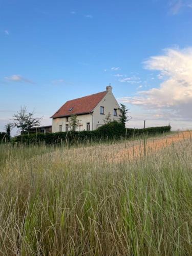Ellezelles House | Kompas gîte