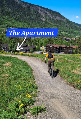 Hafjell Apartment | Koselig leilighet med Ski Bike in and out Nr 34