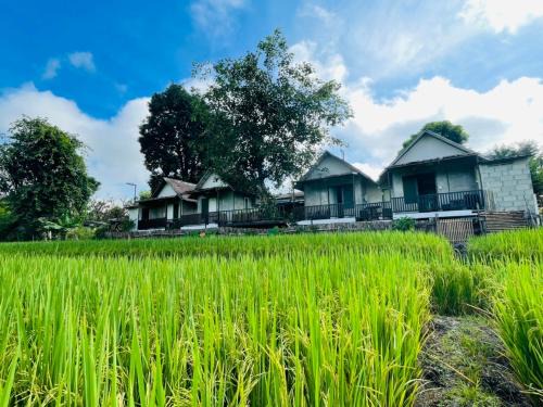 Chiang Dao Resort | KraThom Doi Luang