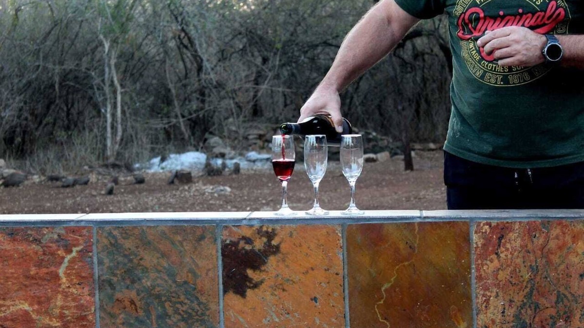 Marloth Park House | Kruger Nest, home in the heart of the bush