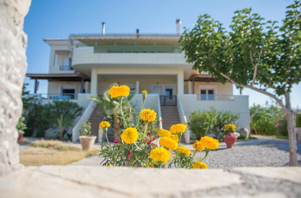 Pigadia Apartment | Ktima Develekou