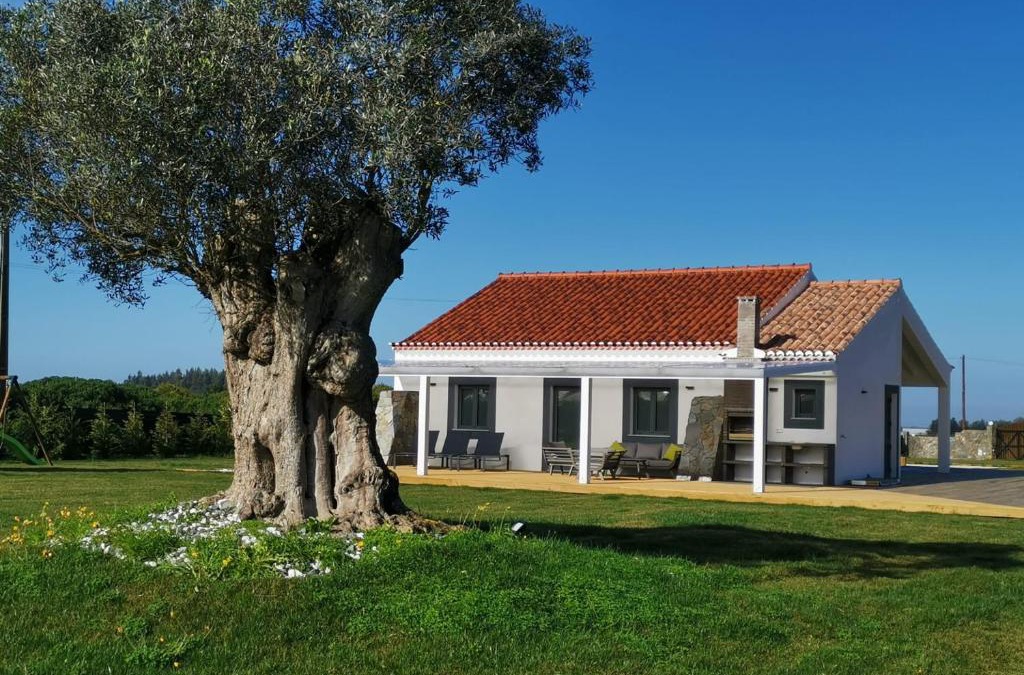 Zambujeira do Mar House | Kuanza Farmhouse and Lodge