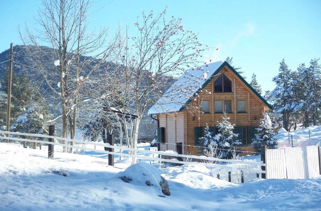 Zabljak Apartment | Kuca u borju - House in pines