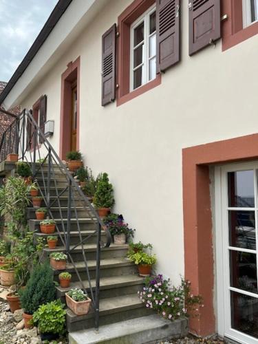 Freiburg im Breisgau House | Kulturvogtei Freiburg-Tiengen