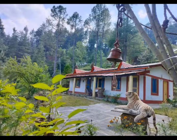Almora Apartment | Kumaon deodara cottages