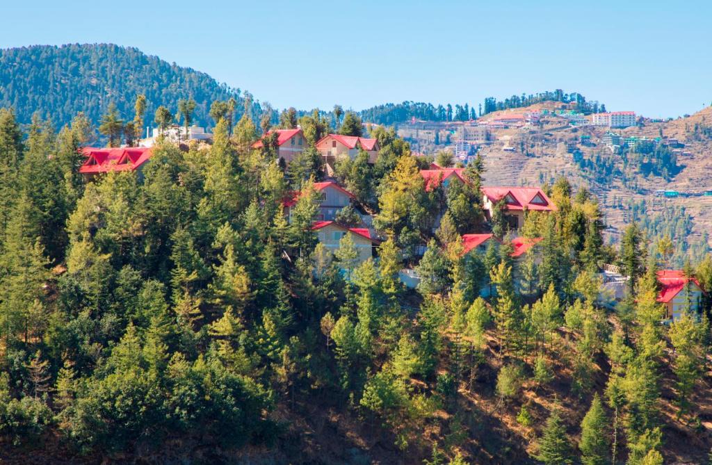Fagu Hotel | KVR Clarks Inn, Kufri