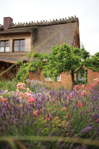 Hellert Apartment | Lüttdeel