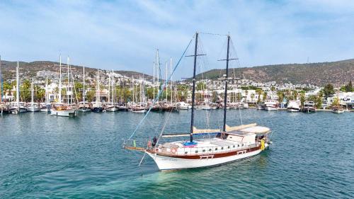 Bodrum City Center Boat Rental | Lıfe ıs lıfe