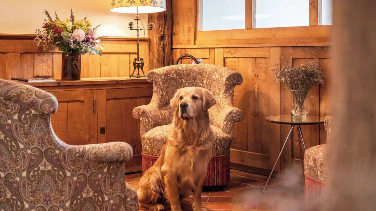 Enclos Hotel | L'Absinthe Hôtel