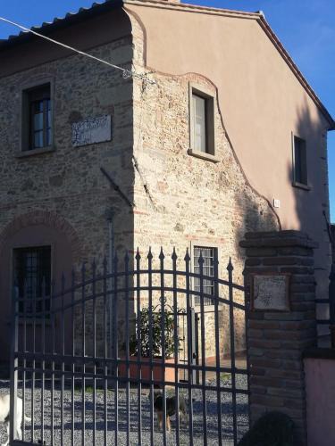 Vada Apartment | L'Aia degli olivi