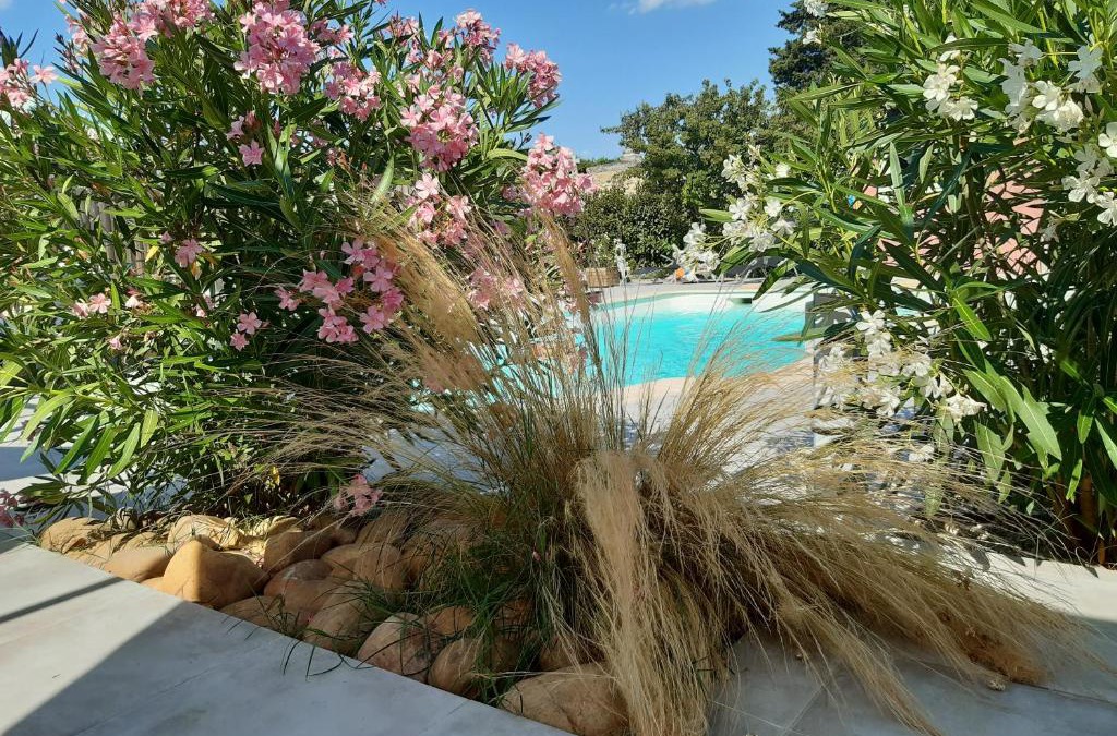 Aramon House | L'EN HAUT