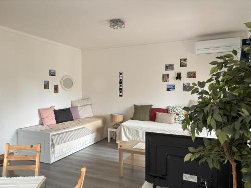 Les Lecques Apartment | L'Impasse Azurée