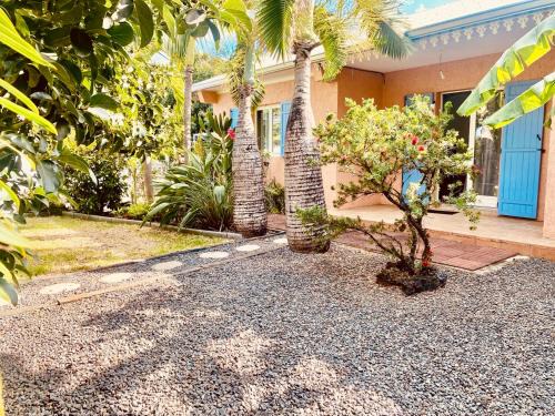 Bois d'Olives House | L'Oasis Saint Pierroise et son Jacuzzi