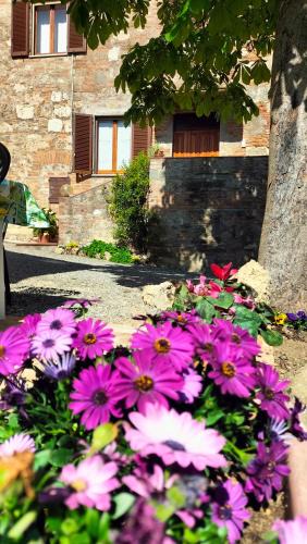Po' Bandino Apartment | L'oca Nera