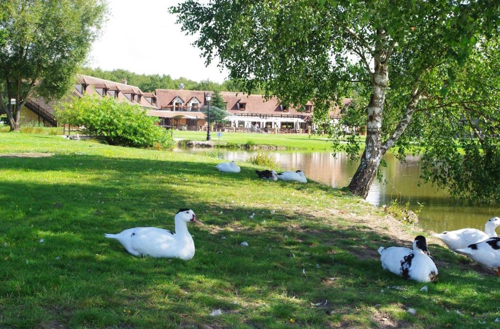 La Ferte-Saint-Aubin Hotel | L'Orée des Chênes, The Originals Relais