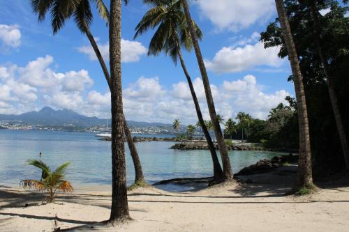 Pointe du Bout Apartment | L'Orchidée Bleue