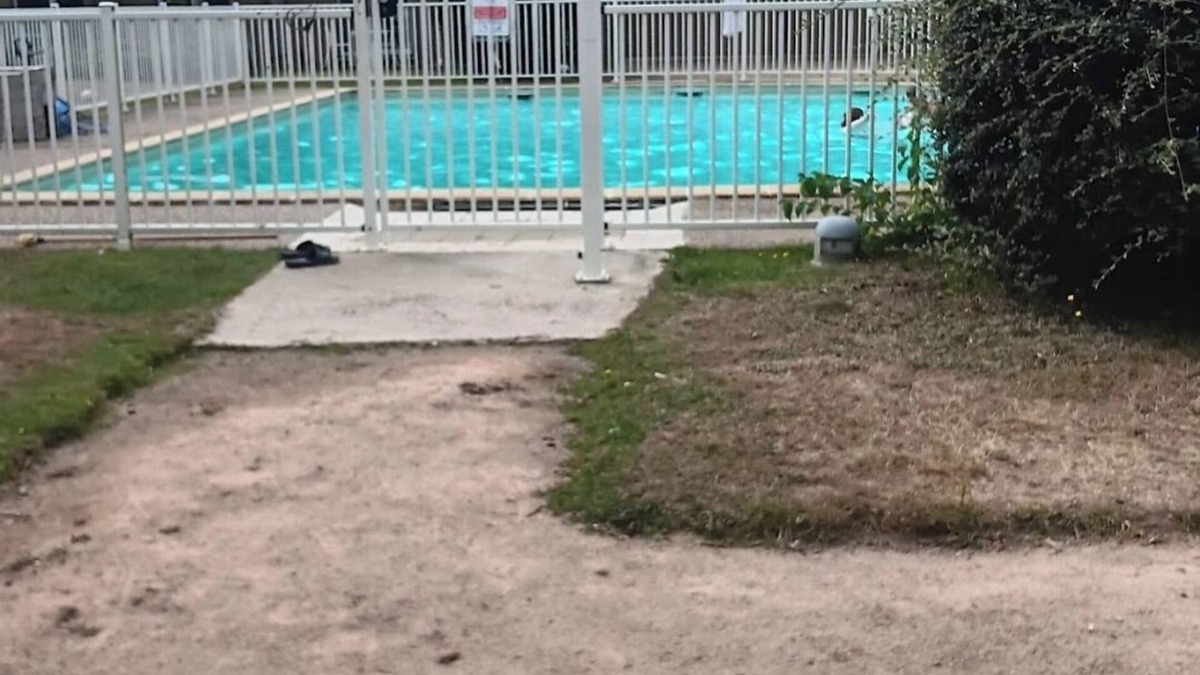 Equemauville Apartment | L, orchid