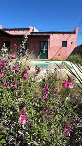 San Antonio de Areco House | La Arequera