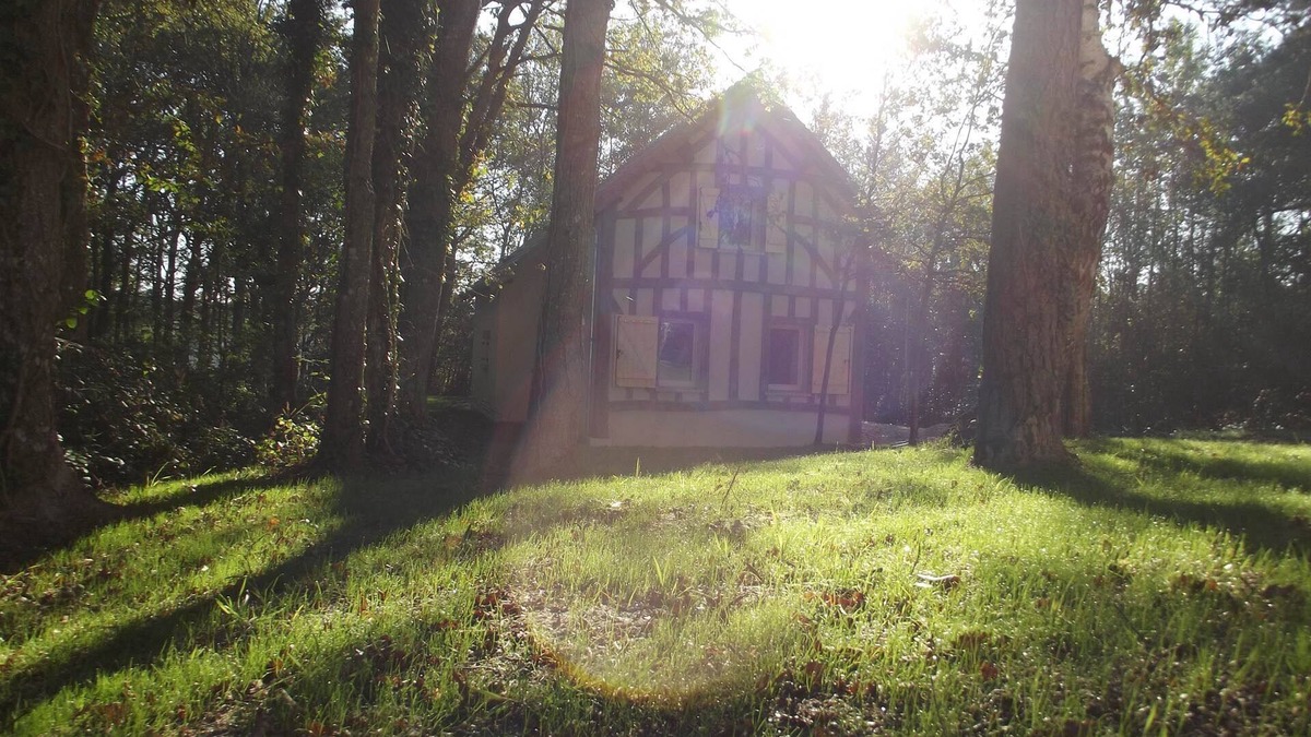 Crouy-sur-Cosson House | La basse Bédinière Gîte near Chambord