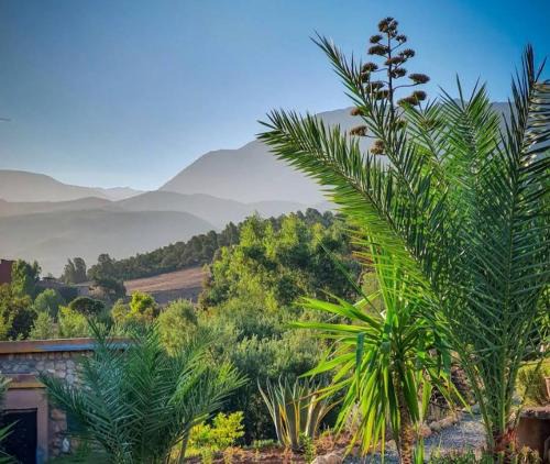 Ouirgane Cabin | La Bergerie Ouirgane - Serenity Lodge
