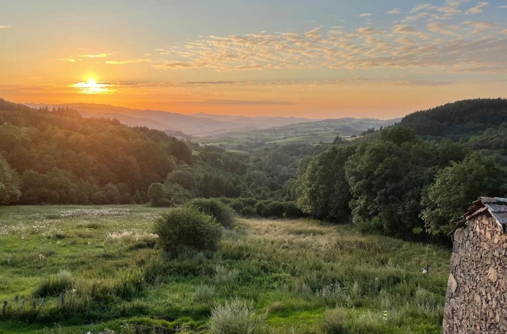 Cenves House | La Boucle des Molliers
