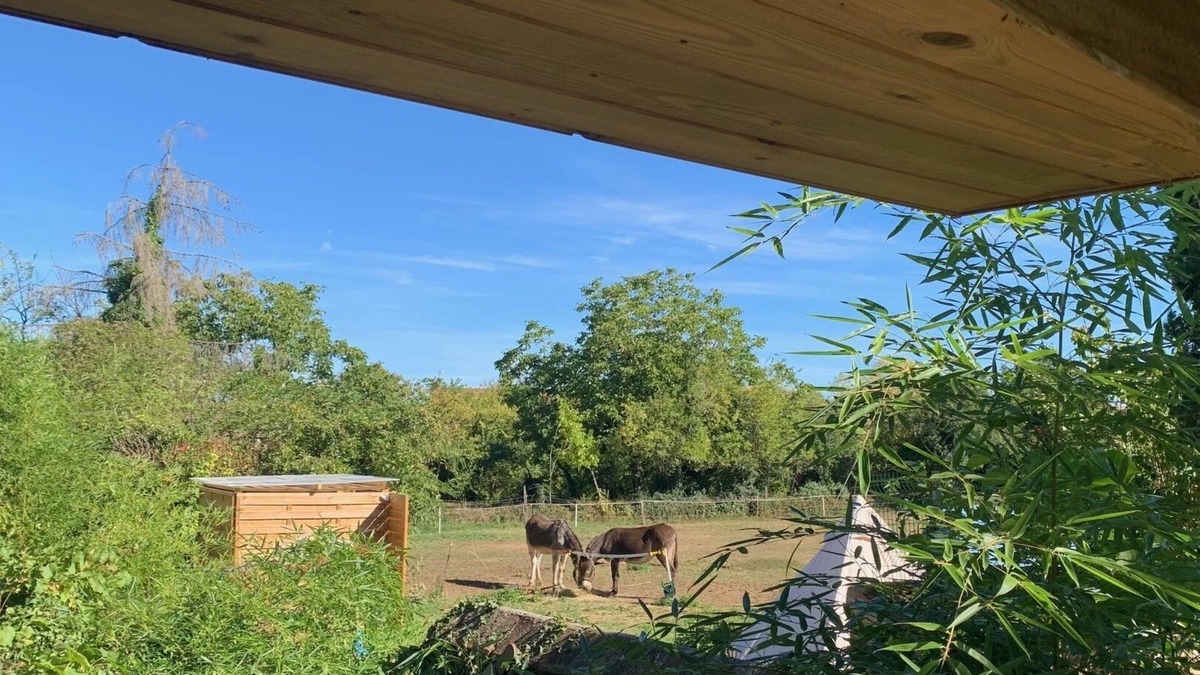Huriel Cabin | La Cabane Bambou