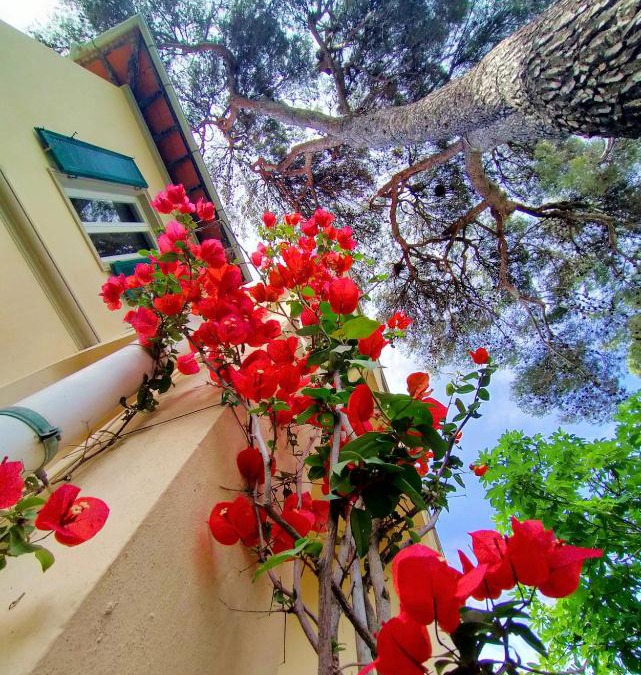 Castiglioncello Apartment | La Casa Bianca di fronte al mare