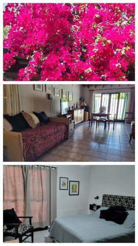 Mendoza City Center House | La casa de Chiqui
