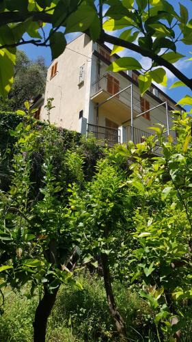 Borgo Antico House | La Casa Dei Limoni