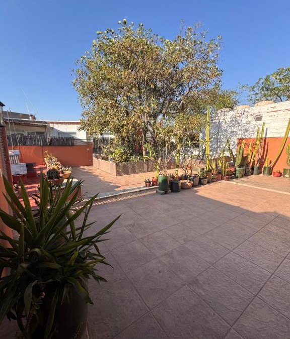 Ruta Independencia House | La Casa del Arbol Townhouse