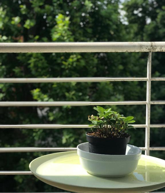 Est Apartment | la casa della luce