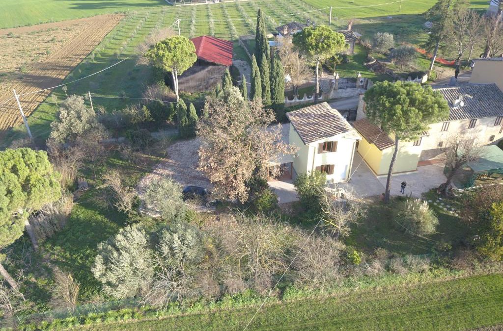 Badiola House | La Casa di Bach