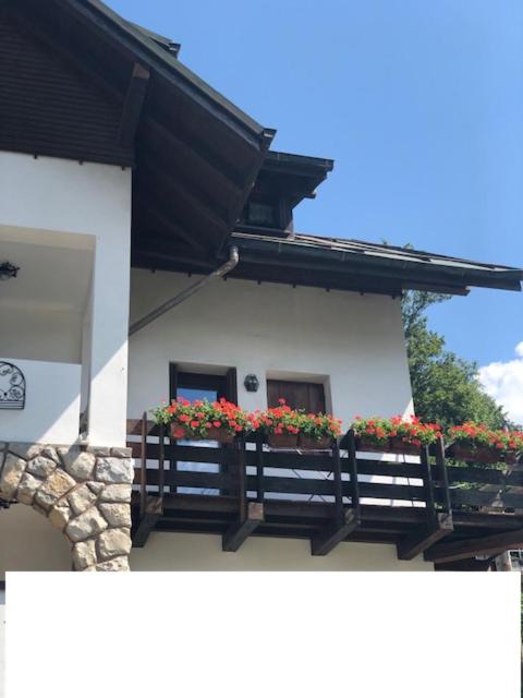 Pieve di Cadore Apartment | La casa di Monte Ricco